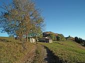 Salita da Rovetta a Cima Paré (1642 m.) il 21 ottobre 2010 - Piero ed Erica - FOTOGALLERY